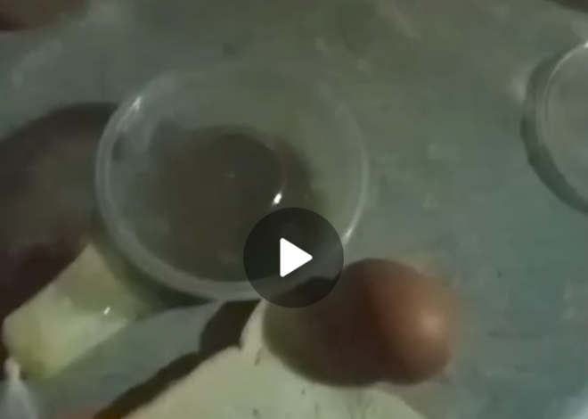 Diduga Menyalahi Aturan Tata Kelola, Dapur SPPG Cikedal Cening 3 Kecamatan Cikedal, Menuai Kecaman