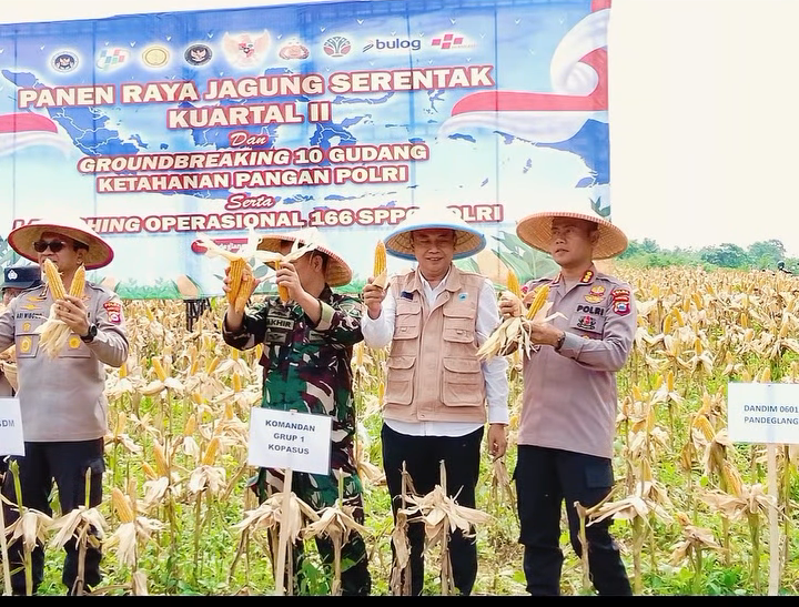 Melalui Panen Raya Jagung Kuartal II,  Kabupaten Pandeglang Siap Wujudkan Swasembada Pangan